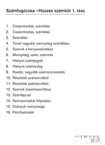 LOGICO Piccolo feladatkártyák Számfogócska: A húszas számkör 1. rész