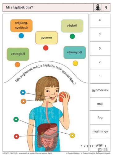 LOGICO Piccolo feladatkártyák Ismeretek 3-4. osztály: Életünk, testünk