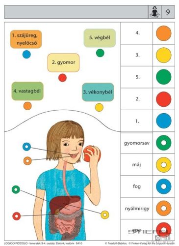 LOGICO Piccolo feladatkártyák Ismeretek 3-4. osztály: Életünk, testünk