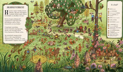 Kerek erdő, esztendő