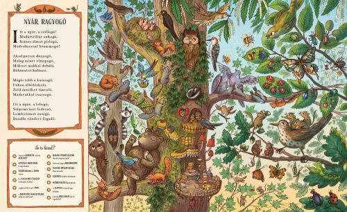 Kerek erdő, esztendő