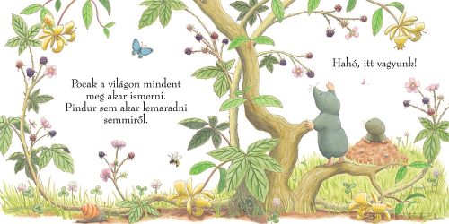 Pocak csak a szedret szereti