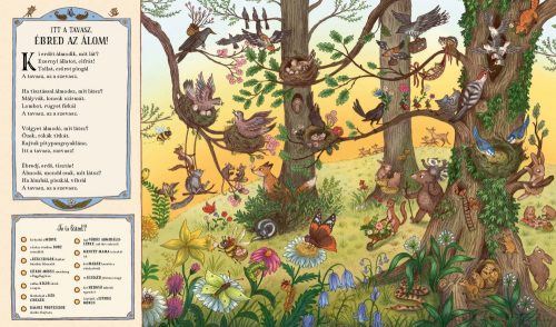 Kerek erdő, esztendő