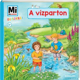 Mi MICSODA Ovisoknak – A vízparton