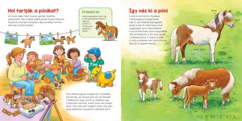 Mi MICSODA Ovisoknak – Pónik