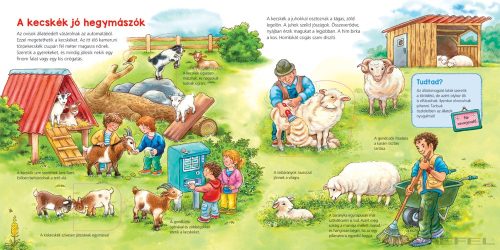 Mi MICSODA Ovisoknak – Állatsimogató