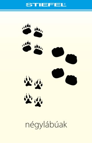 Bee-Bot gyakorlópálya általános kiegészítő kártyacsomag