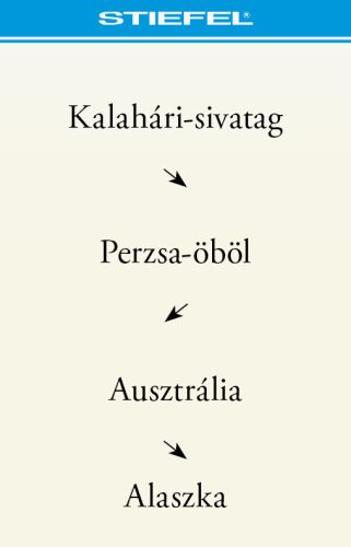 "A Föld állatvilága" Bee-Bot gyakorlópálya kiegészítő kártyacsomag