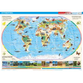 Bee-Bot gyakorlópálya, A Föld állatvilága