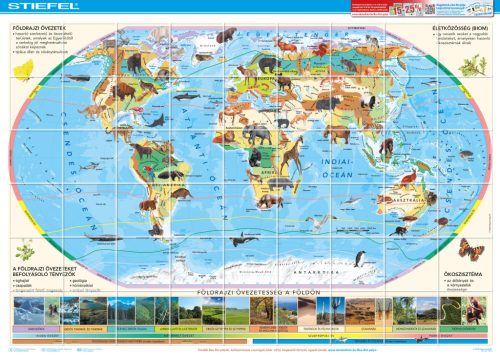 Bee-Bot gyakorlópálya, A Föld állatvilága