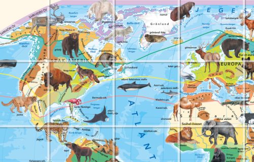 Bee-Bot gyakorlópálya, A Föld állatvilága + kártyacsomag