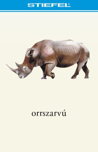 Bee-Bot gyakorlópálya, A Föld állatvilága + kártyacsomag