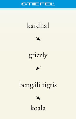 Bee-Bot gyakorlópálya, A Föld állatvilága + kártyacsomag