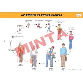 Az ember életszakaszai