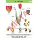 A tulipán
