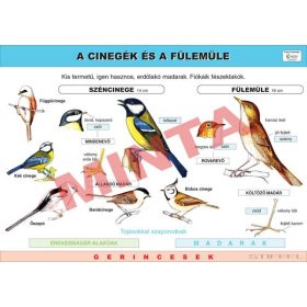 A cinegék és a fülemüle