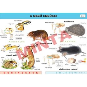 A mező emlősei