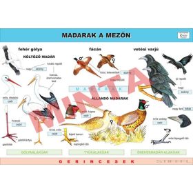 Madarak a mezőn