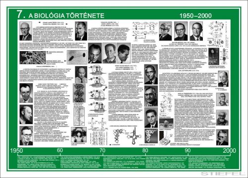 A biológia fejlődése (8 db tablósorozat)