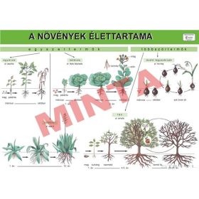 A növények élettartama