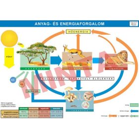 Anyag és energiaforgalom