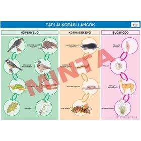 Táplálkozási láncok