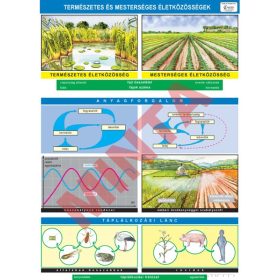 Természetes és mesterséges életközösségek