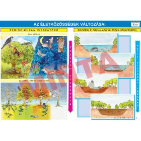 Az életközösségek változásai