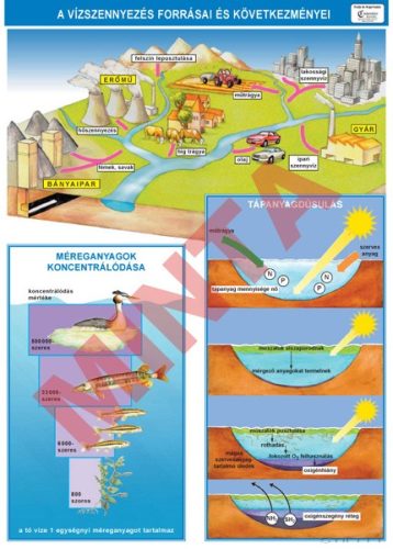 A vízszennyezés forrásai és következményei