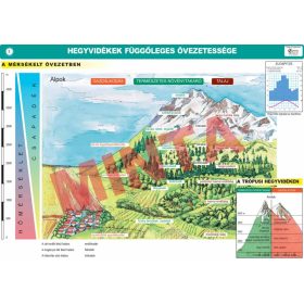 Hegyvidékek függőleges övezetessége
