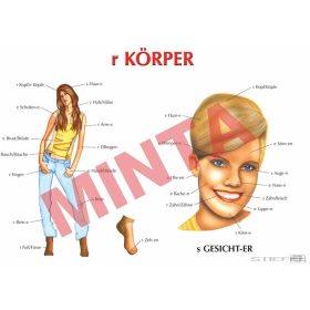 r Körper