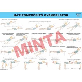 Hátizom erősítő gyakorlatok