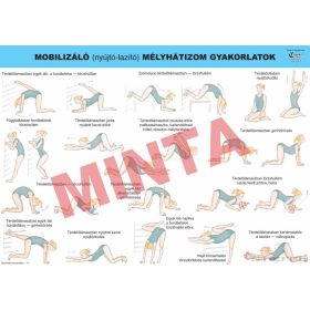 Mobilizáló (nyújtó,- lazító) mélyhátizom gyakorlatok