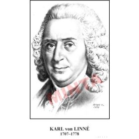 Nagy biológusok (20 db)