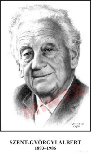 Nagy biológusok (20 db)