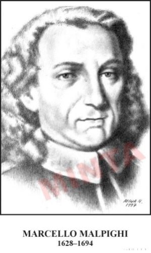 Nagy biológusok (20 db)