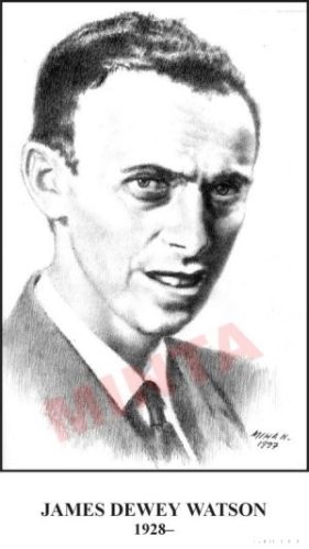 Nagy biológusok (20 db)