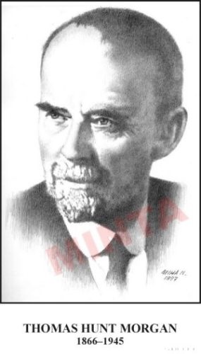 Nagy biológusok (20 db)