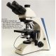 Lacerta Élő vérvizsgálati sötéttér trinokuláris mikroszkóp, 40-1000x