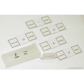   Lacerta preparátum csomagok - 5-6 db preparátum, választható tematika