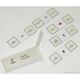   Lacerta preparátum csomagok - 5-6 db preparátum, választható tematika