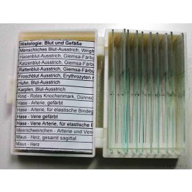   Lacerta preparátum csomagok - 10-15 db preparátum, választható tematika