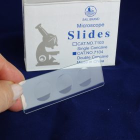   Lacerta Üres tárgylemez, többszörösen kör alakban mélyített, 50 db