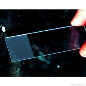 BTC feliratozható tárgylemez (50 db)