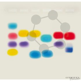 DNS-apasági teszt (demonstrációs célú)