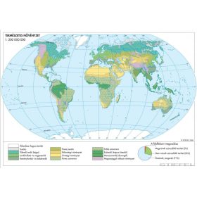 Természetes növényzet (Föld)