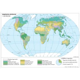 Természetes növényzet (Föld)