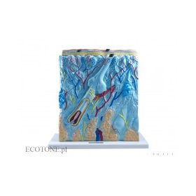 Bőr felépítése, közepes méretű modell