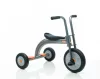2001 Alutrike tricikli, 1 üléses