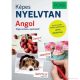 PONS Képes nyelvtan – Angol